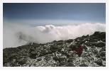 Aconcagua Summit * 5428 x 3387 * (12.26MB)